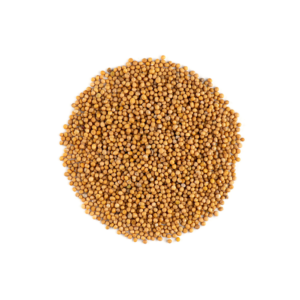 Mustard Seed 100G Pattu (Smsb001)