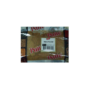 Mace Powder 100G Pattu