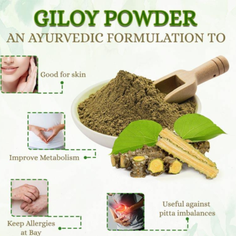 Giloy Powder 200g