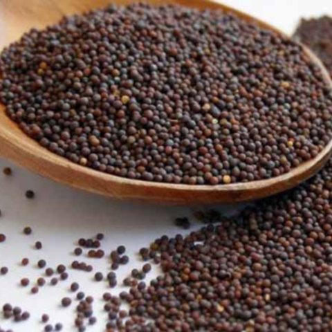 Mustard Seed Brown 200Gm